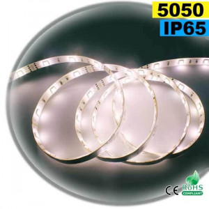  Strip Led white SMD 5050 IP65 30leds/m 30m