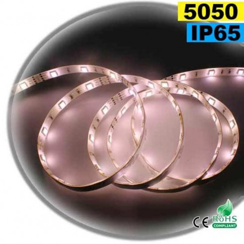 Strip 30 Warm White LEDs 5m self-adhesive flexible roll