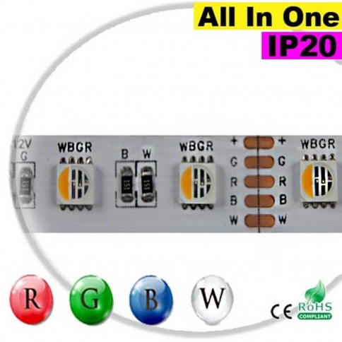  Strip LEDs RGB-WW IP68 - LED "All in one" 5 mètres 