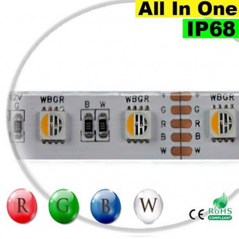 Strip LEDs RGB-W IP68 - LED "All in one" 5 mètres 
