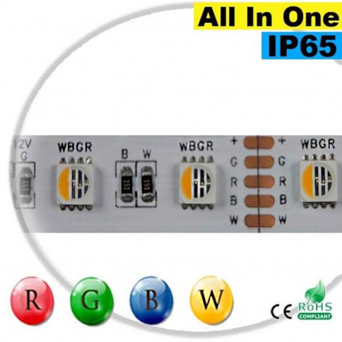  Strip LEDs RGB-WW IP65 - LED "All in one" 30 mètres 