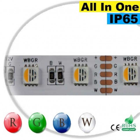  Strip LEDs RGB-W IP65 - LED "All in one" 5 mètres 