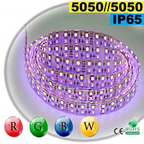  Strip LEDs large RGB-WW de 20mm IP65 - Double assemblage de LEDs 5050 5 mètres 