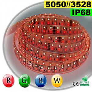 Strip LEDs RGB-WW IP68 - Double assembly of LEDs 5050 and 3528 5 metres