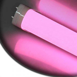  LED MEAT Series SMD 3528 tube Length 600mm