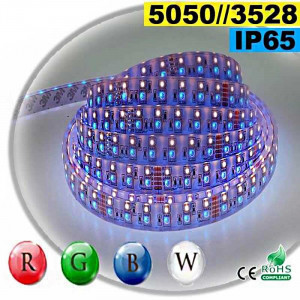  Strip LEDs RGB-W IP65 - Double assembly of tailor-made 5050 and 3528 LEDs
