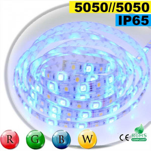 Strip Led RGB-WW IP65 60leds/m SMD 5050 rouleau de 30 mètres