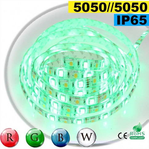  Strip Led RGB-W IP65 60leds/m SMD 5050 sur mesure 