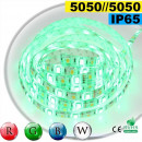  Strip Led RGB-W IP65 60leds/m SMD 5050 roll of 30 metres