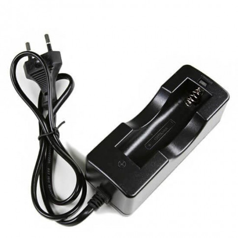 Torch battery charger