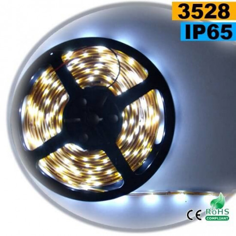 Strip Led white SMD 3528 IP65 60leds/m 5m