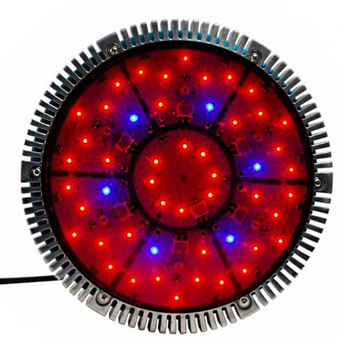 Vireo LED 144 watt horticultural spotlight
