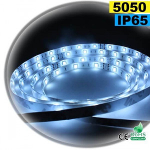 White LED strip SMD 5050 IP65 30leds/m made to measure