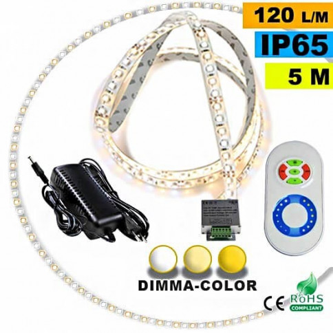 Pack Strip LED 5m Dimma Color 3528 IP65 120LED