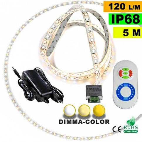 Pack Strip LED 5m Dimma Color 3528 IP68 120LED