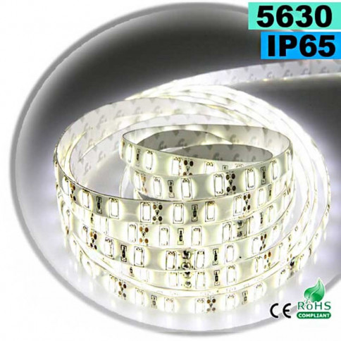  Strip Led blanc SMD 5630 IP65 60 leds / m 30 mètres 