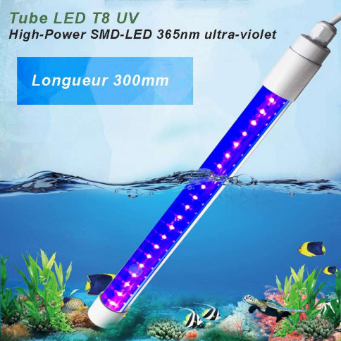 Tube LED T8 UV couleur ultra-violet longueur 300mm