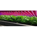 LED horticultural lighting