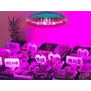 Horticultural lighting